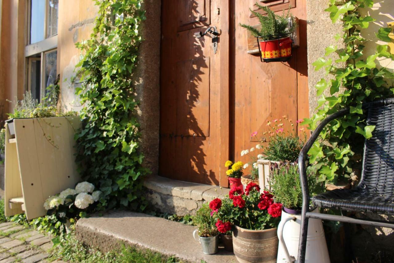 Lazy River Hostel Локет Екстер'єр фото
